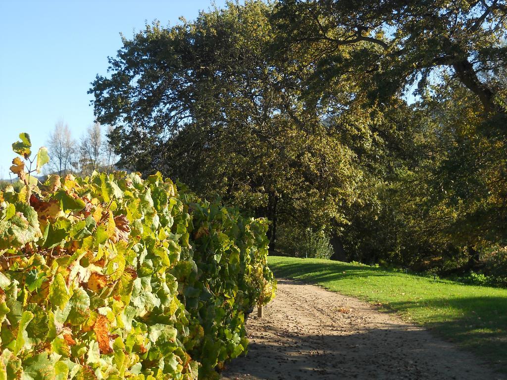 Auberge Clermont Franschhoek Esterno foto