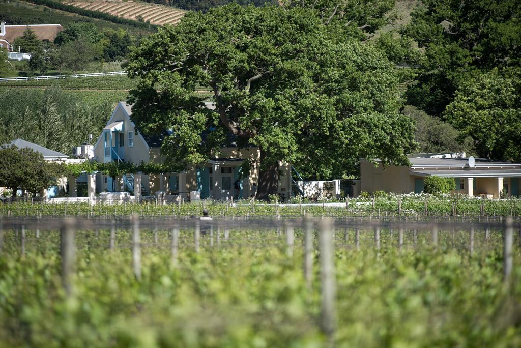 Auberge Clermont Franschhoek Esterno foto