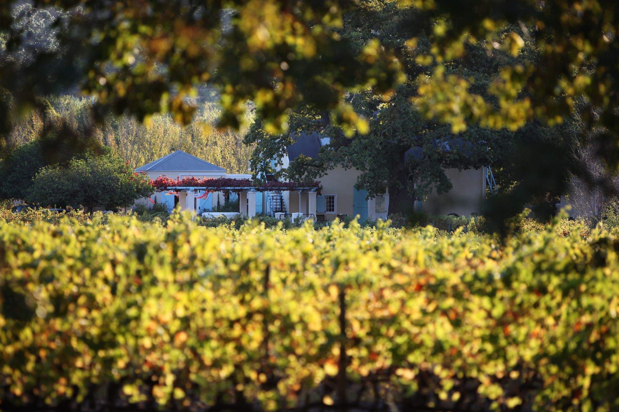 Auberge Clermont Franschhoek Esterno foto