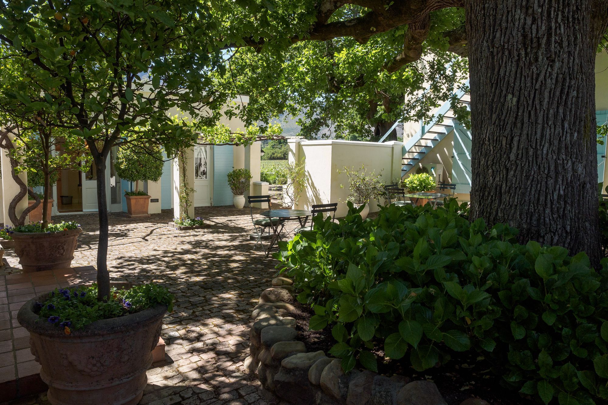 Auberge Clermont Franschhoek Esterno foto